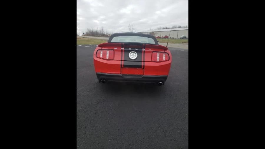 2010 Shelby GT500 - Image 8 of 10