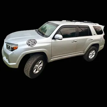 2010 Toyota 4Runner SR5 Sport Utility 4D