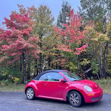 2010 Volkswagen Beetle Convertible