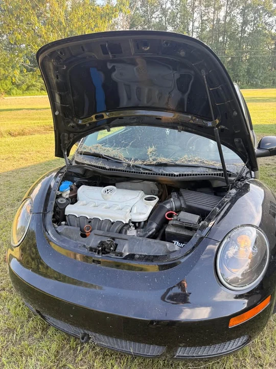 2010 Volkswagen New Beetle - Image 3 of 7