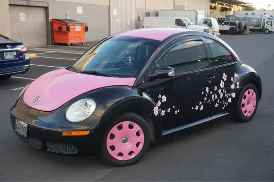 2010 Volkswagen Beetle 2.5L Hatchback 2D