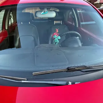 2010 Volkswagen Beetle