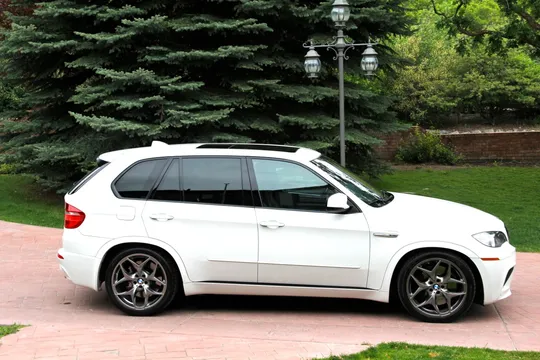 2010 BMW X5 M