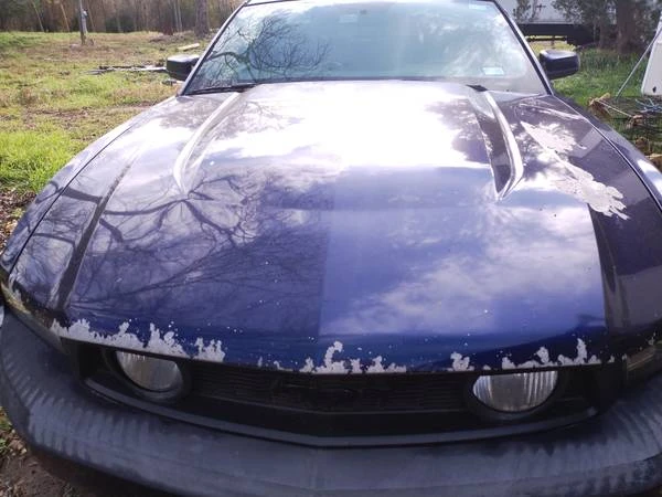 2010 Ford S197 Mustang - Image 2 of 7