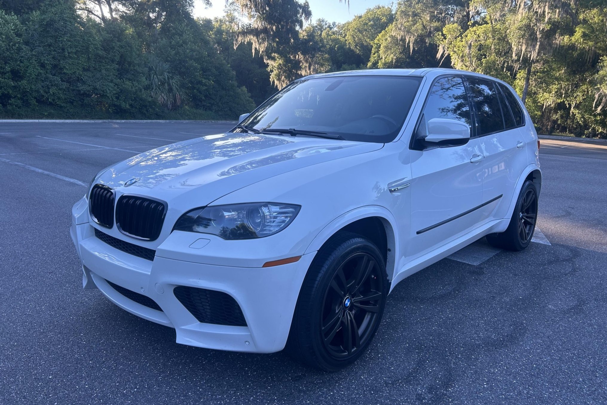 2010 BMW X5 M