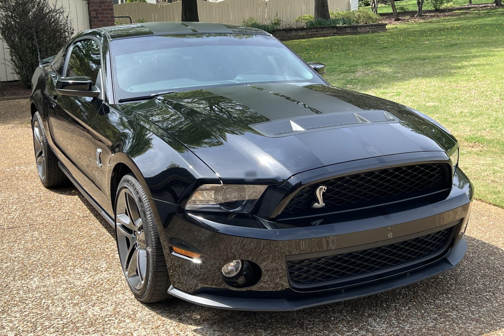 2010 Ford Mustang Shelby GT500 Coupe