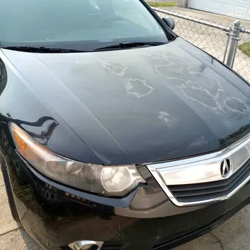 2011 Acura TSX Sedan 4D