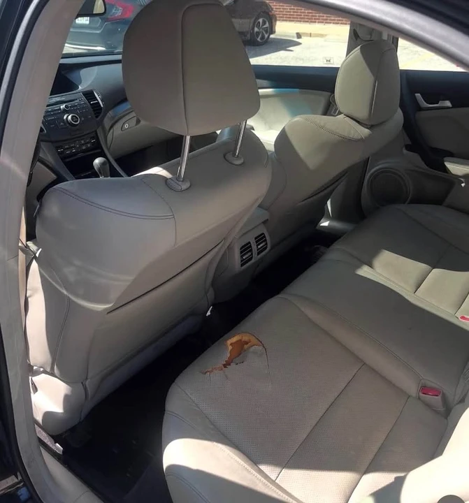 2011 Acura TSX 2nd Gen - Image 4 of 8