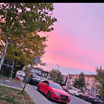 2011 Audi A4