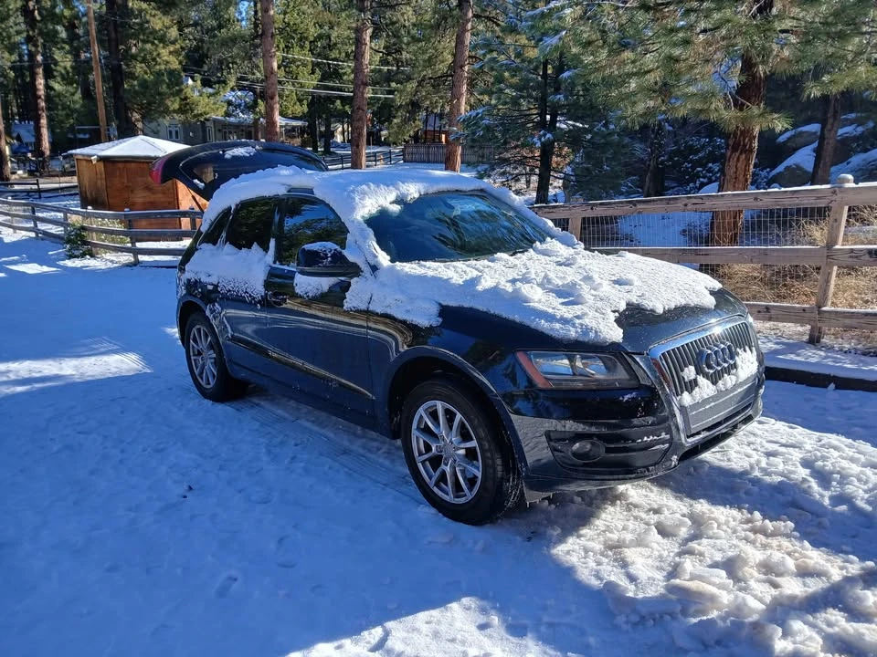 2011 Audi 8R Q5 - Image 8 of 8