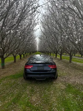 2011 Audi S5 · Premium Coupe 2D