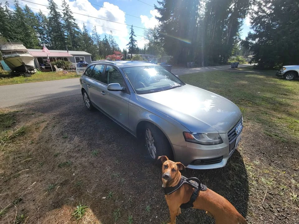 2011 Audi B8 A4 - Image 3 of 7