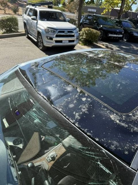 2011 BMW E90 3 Series Sedan - Image 9 of 11