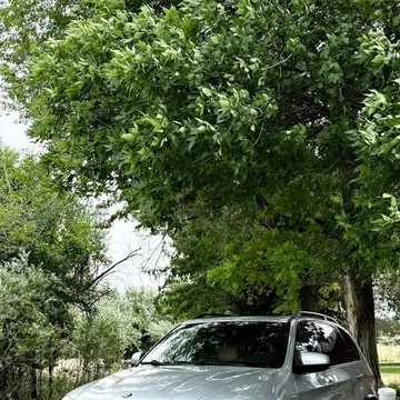 2011 BMW X5 xDrive35d Sport Utility 4D