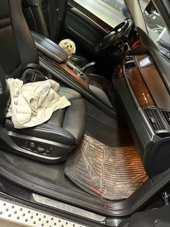 2011 BMW E71 X6 - Image 12 of 21