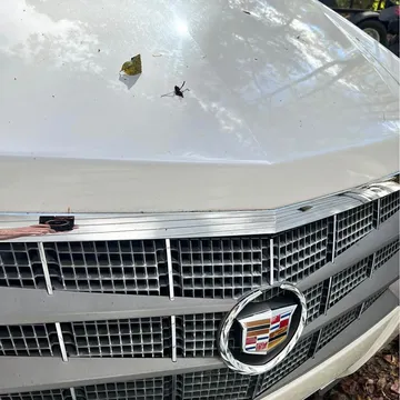 2011 Cadillac CTS 2.0 Standard