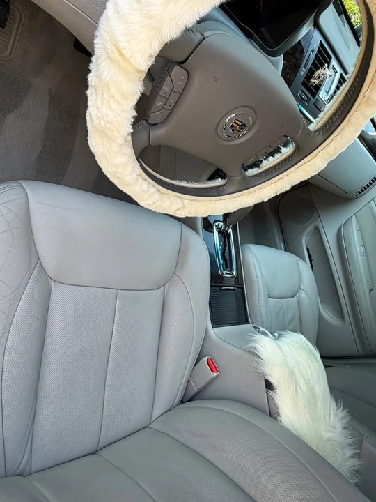 2011 Cadillac DTS - Image 17 of 19