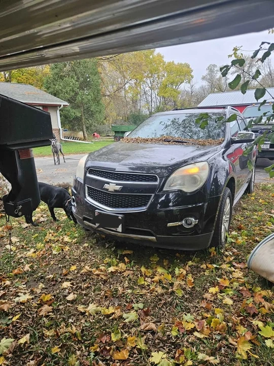 2011 Chevrolet Equinox - Image 11 of 12
