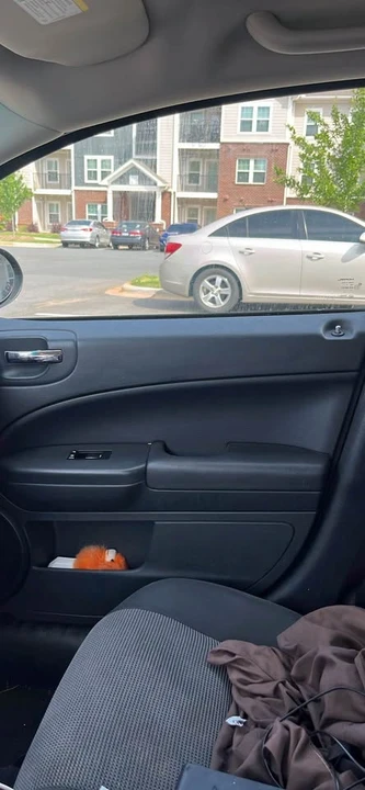 2011 Dodge Caliber - Image 3 of 4