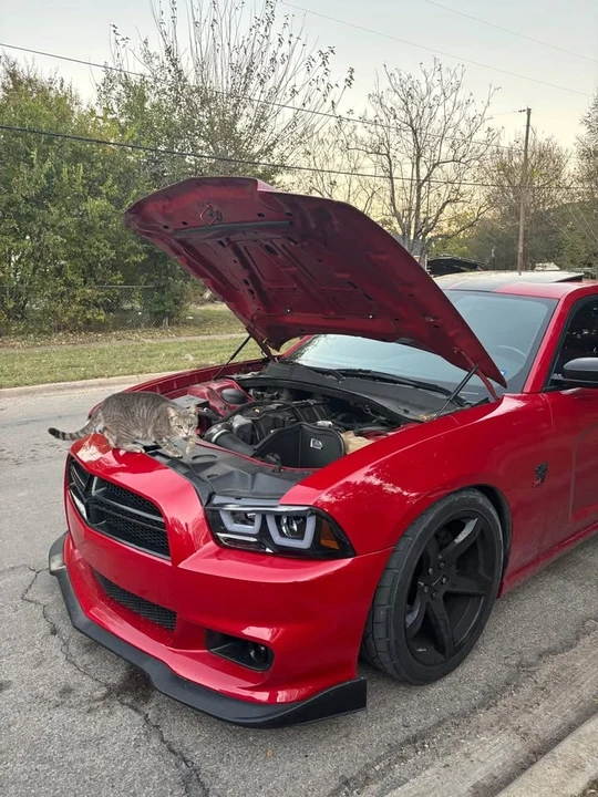 2011 Dodge Charger 7th Gen - Image 3 of 10