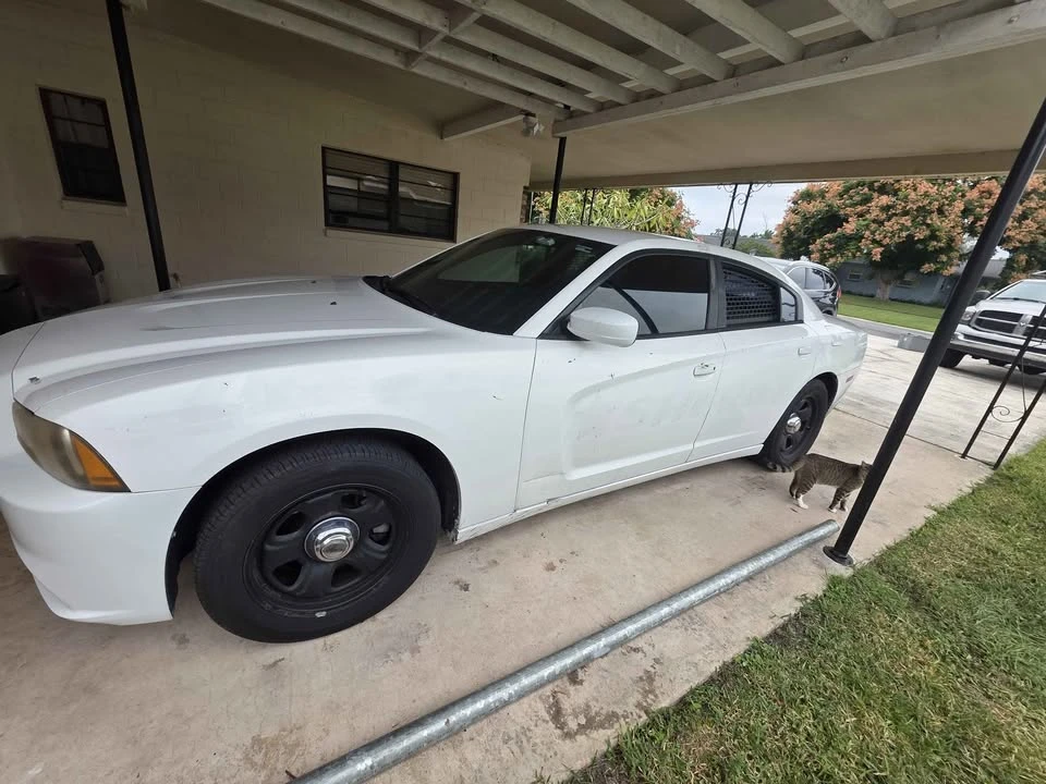 2011 Dodge Charger 7th Gen - Image 2 of 6