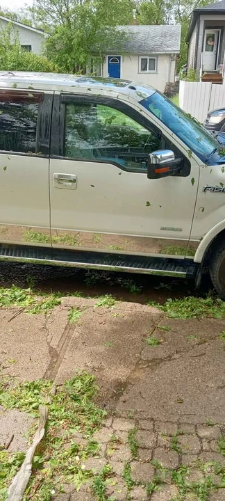 2011 Ford F-150 12th Gen - Image 2 of 6
