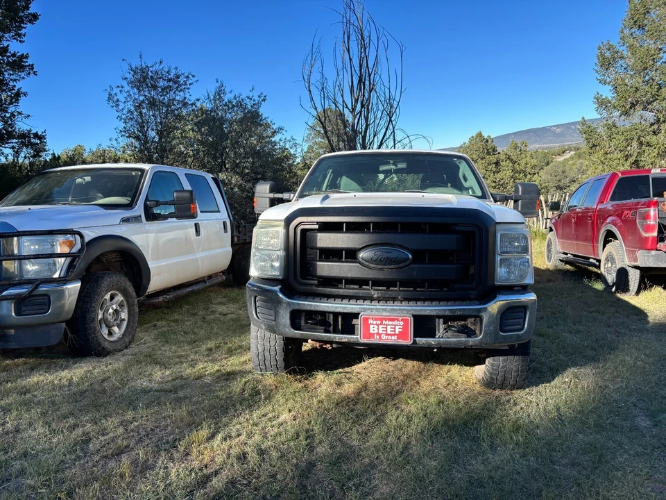 2011 Ford Super Duty 3rd Gen - Image 2 of 15