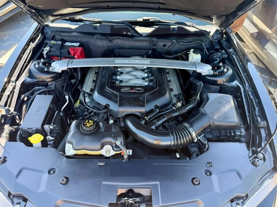2011 Ford S197 Mustang - Image 19 of 19