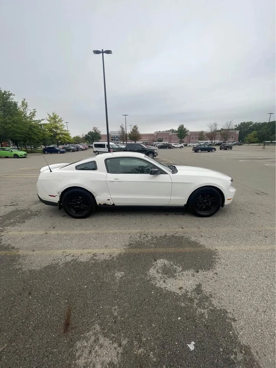 2011 Ford S197 Mustang - Image 2 of 8