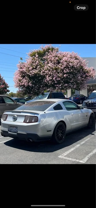 2011 Ford S197 Mustang - Image 2 of 4