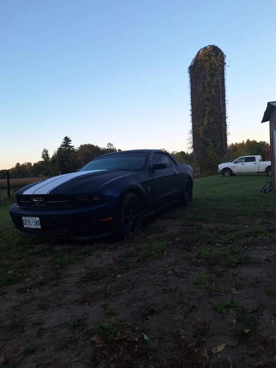 2011 Ford S197 Mustang - Image 9 of 10