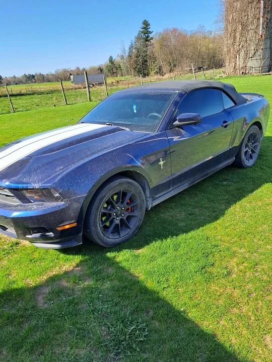2011 Ford S197 Mustang - Image 8 of 10