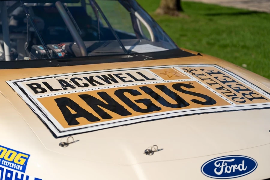 2011 Ford S197 Mustang - Image 15 of 24