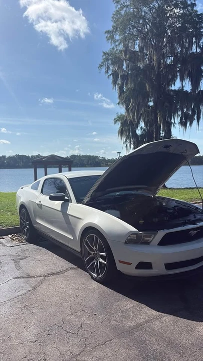 2011 Ford S197 Mustang - Image 8 of 8