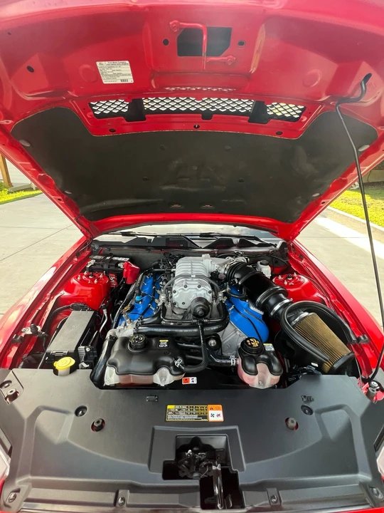 2011 Ford S197 Mustang - Image 13 of 13