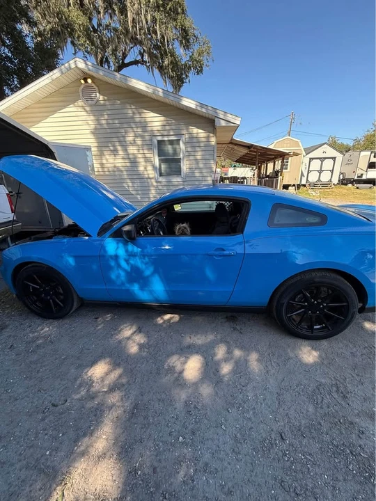 2011 Ford S197 Mustang - Image 2 of 10