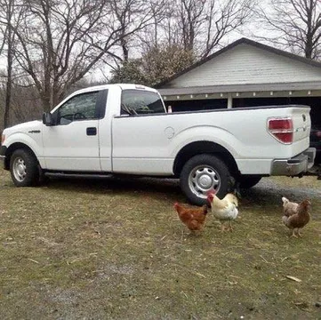2011 Ford F-150 XL