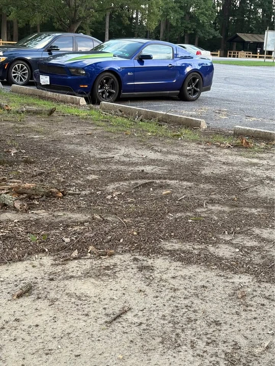 2011 Ford GT 1st Gen - Image 9 of 13