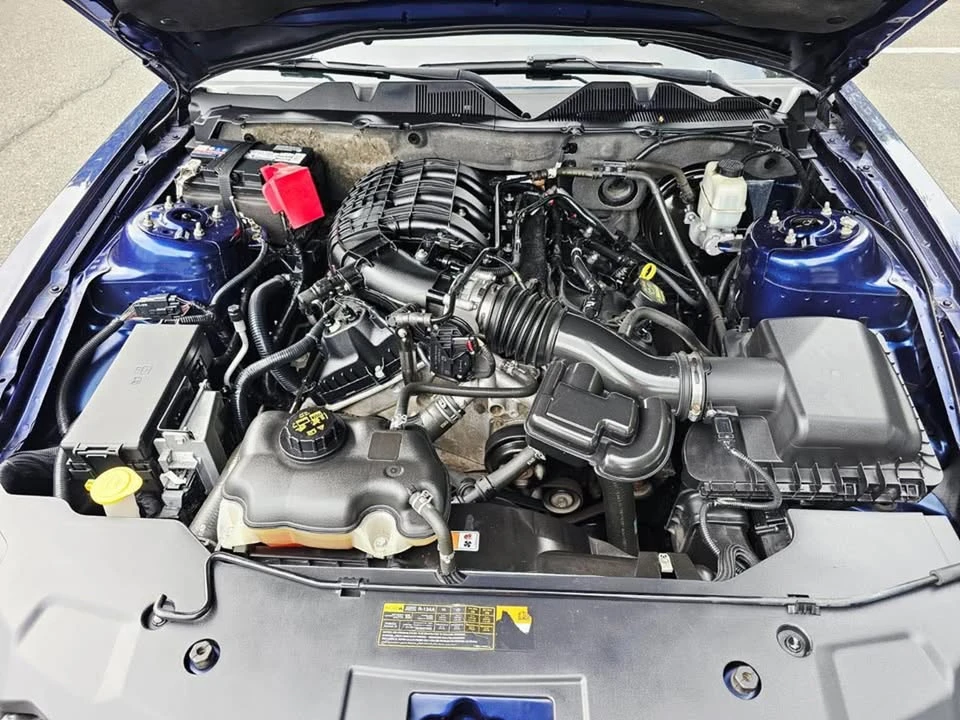 2011 Ford S197 Mustang - Image 16 of 17