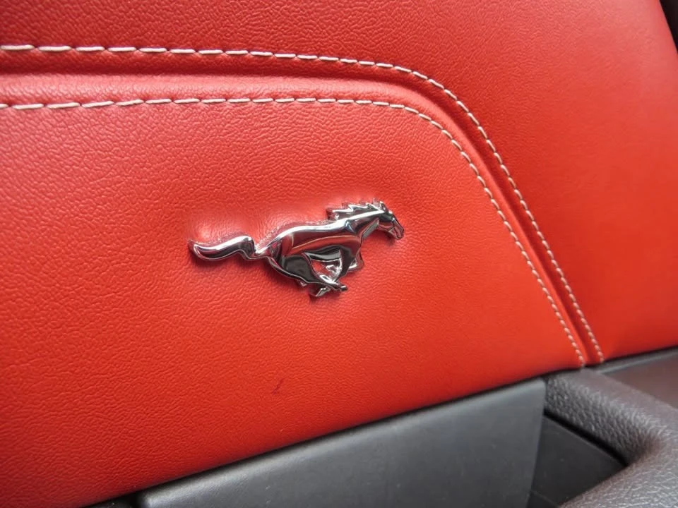 2011 Ford S197 Mustang - Image 16 of 20