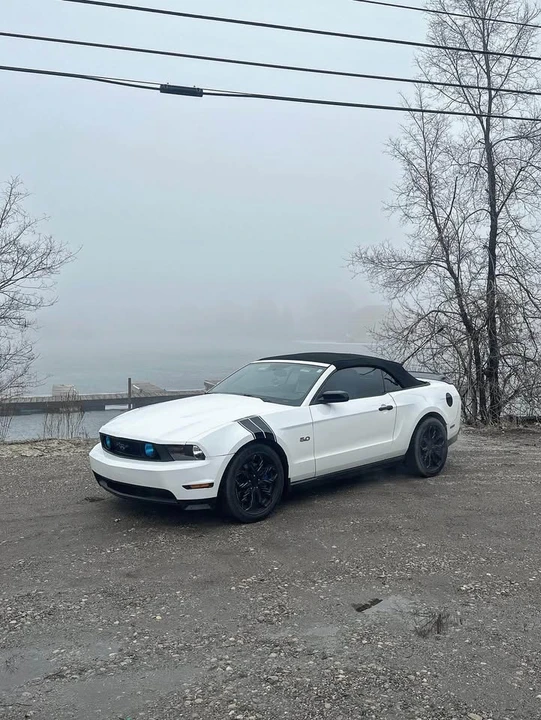 2011 Ford S197 Mustang - Image 2 of 6