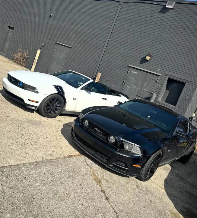 2011 Ford S197 Mustang - Image 5 of 7