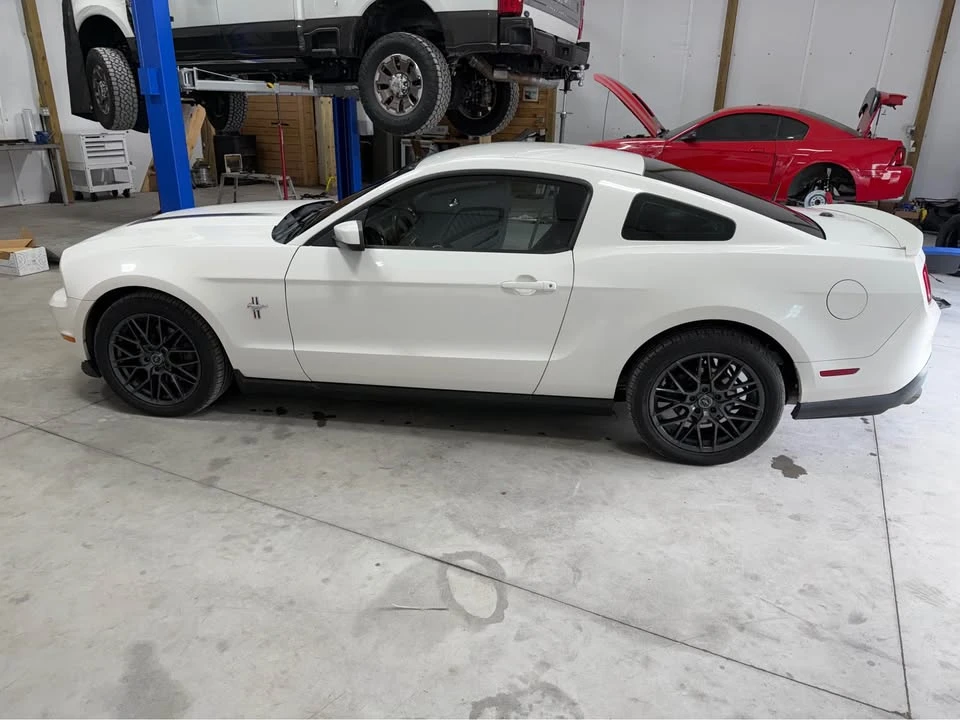 2011 Ford S197 Mustang - Image 2 of 10