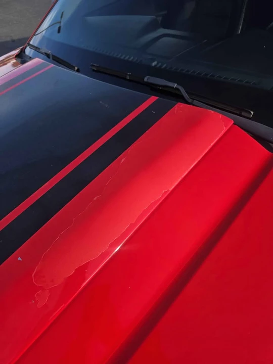 2011 Ford S197 Mustang - Image 10 of 14