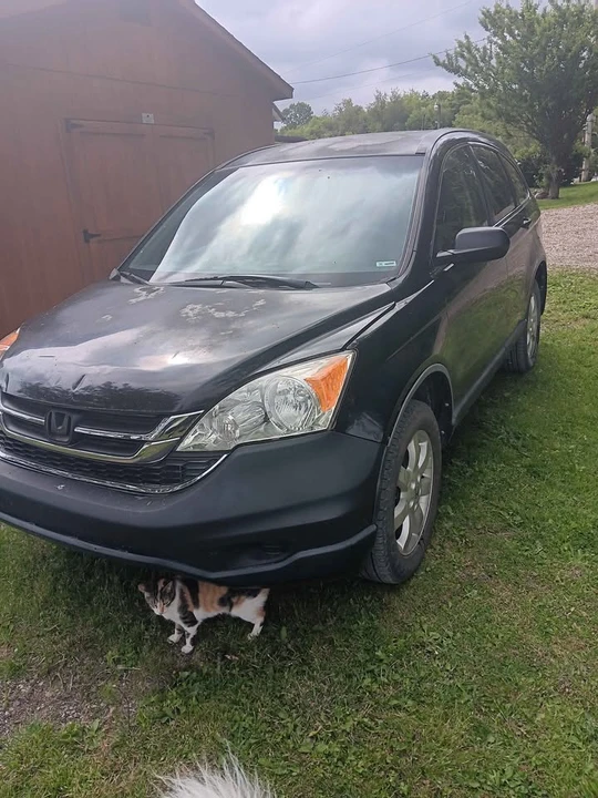 2011 Honda CR-V 3rd Gen - Image 3 of 5