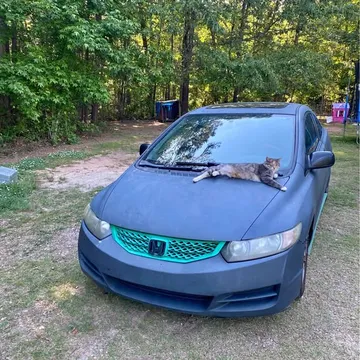 2011 Honda Civic EX-L Coupe