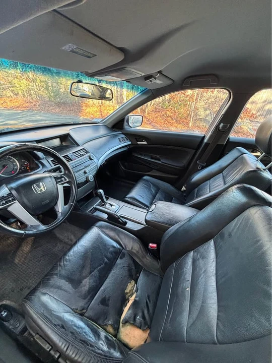 2011 Honda Accord 8th Gen - Image 11 of 13
