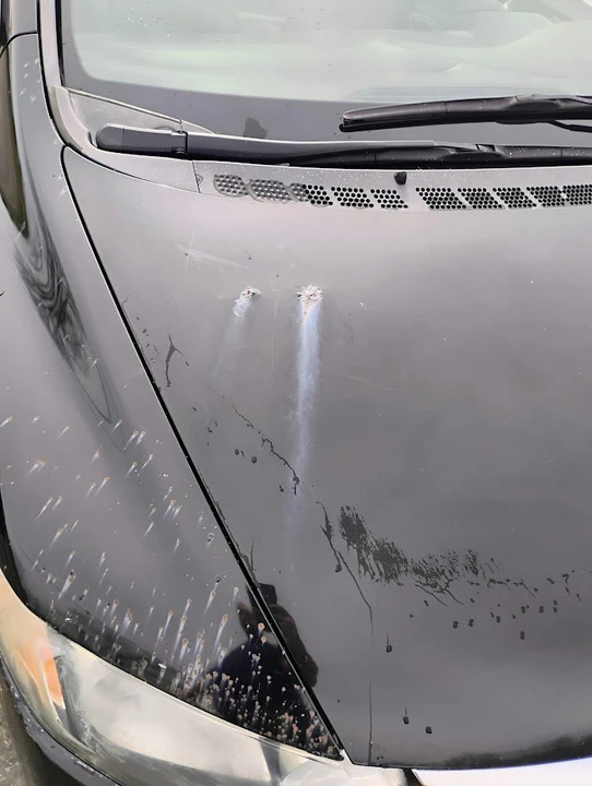 2011 Honda Civic 8th Gen - Image 13 of 19