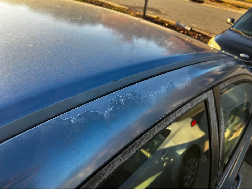 2011 Honda Civic 8th Gen - Image 13 of 19