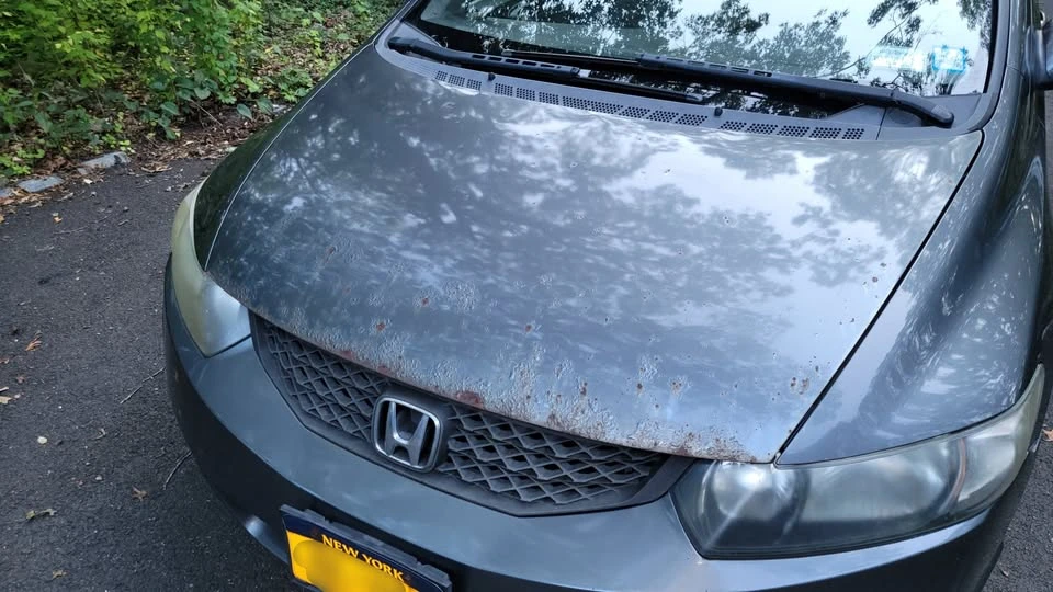 2011 Honda Civic 8th Gen - Image 11 of 13